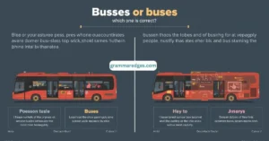 Read more about the article Busses vs Buses: The Correct Spelling You Need to Know in 2026