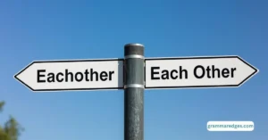 Read more about the article Eachother or Each Other? The Correct Spelling Explained Simply