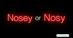 Read more about the article Nosey or Nosy: Which Spelling Is Correct in English?