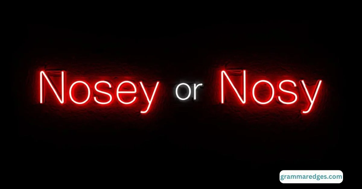 Read more about the article Nosey or Nosy: Which Spelling Is Correct in English?