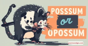 Read more about the article Possum or Opossum: What’s the Correct Spelling and Usage?