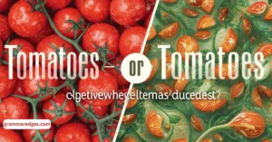 Read more about the article Tomatoes or Tomatos: Which Spelling Is Correct?