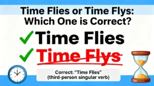 Read more about the article Time Flies or Time Flys: Which One is Correct?