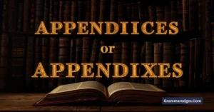 Read more about the article Appendices or Appendixes: Common Mistakes You Must Avoid