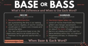 Read more about the article Base or Bass What’s the Difference and When to Use Each Word?