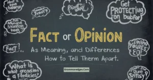Read more about the article Fact or Opinion: Meaning, Differences and How to Tell Them Apart