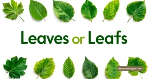 Read more about the article Leafs or Leaves? Which Spelling Is Correct in 2026?<p class="post-updated-date">🕓 <span class="updated-label">Last updated on</span> <time datetime="2026-06-24T18:56:56+00:00">June 24, 2026</time></p><script type="application/ld+json">
        {
          "@context": "https://schema.org",
          "@type": "BlogPosting",
          "mainEntityOfPage": {
            "@type": "WebPage",
            "@id": "https://grammaredges.com/leafs-or-leaves/"
          },
          "datePublished": "2026-06-24T18:56:55+00:00",
          "dateModified": "2026-06-24T18:56:56+00:00"
        }
        </script>