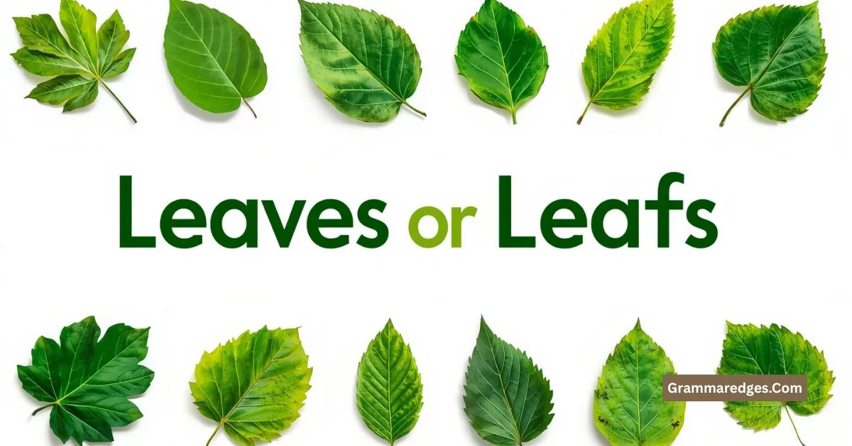 Read more about the article Leafs or Leaves? Which Spelling Is Correct in 2026?