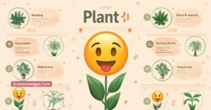 Read more about the article Plant Emoji 🌱 Meaning, Origin, Usage, and Guide<p class="post-updated-date">🕓 <span class="updated-label">Last updated on</span> <time datetime="2026-08-18T05:29:53+00:00">August 18, 2026</time></p><script type="application/ld+json">
        {
          "@context": "https://schema.org",
          "@type": "BlogPosting",
          "mainEntityOfPage": {
            "@type": "WebPage",
            "@id": "https://grammaredges.com/plant-emoji/"
          },
          "datePublished": "2026-08-18T05:29:52+00:00",
          "dateModified": "2026-08-18T05:29:53+00:00"
        }
        </script>