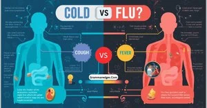 Read more about the article Cold vs Flu: Symptoms, Differences & Treatment<p class="post-updated-date">🕓 <span class="updated-label">Last updated on</span> <time datetime="2026-09-27T18:25:57+00:00">September 27, 2026</time></p><script type="application/ld+json">
        {
          "@context": "https://schema.org",
          "@type": "BlogPosting",
          "mainEntityOfPage": {
            "@type": "WebPage",
            "@id": "https://grammaredges.com/cold-vs-flu/"
          },
          "datePublished": "2026-09-27T18:25:56+00:00",
          "dateModified": "2026-09-27T18:25:57+00:00"
        }
        </script>