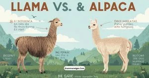 Read more about the article Llama vs Alpaca: Key Differences Explained<p class="post-updated-date">🕓 <span class="updated-label">Last updated on</span> <time datetime="2026-09-26T07:50:15+00:00">September 26, 2026</time></p><script type="application/ld+json">
        {
          "@context": "https://schema.org",
          "@type": "BlogPosting",
          "mainEntityOfPage": {
            "@type": "WebPage",
            "@id": "https://grammaredges.com/llama-vs-alpaca/"
          },
          "datePublished": "2026-09-26T07:50:14+00:00",
          "dateModified": "2026-09-26T07:50:15+00:00"
        }
        </script>