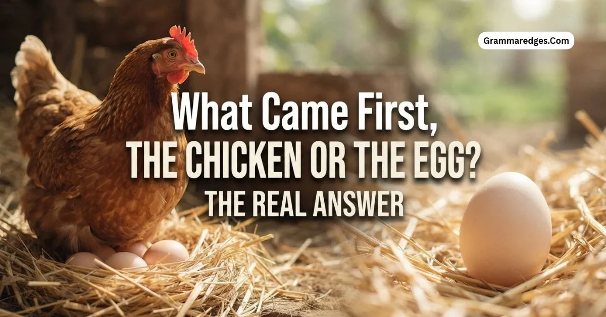 You are currently viewing What Came First, the Chicken or the Egg? The Real Answer<p class="post-updated-date">🕓 <span class="updated-label">Last updated on</span> <time datetime="2026-10-10T05:41:27+00:00">October 10, 2026</time></p><script type="application/ld+json">
        {
          "@context": "https://schema.org",
          "@type": "BlogPosting",
          "mainEntityOfPage": {
            "@type": "WebPage",
            "@id": "https://grammaredges.com/what-came-first-the-chicken-or-the-egg/"
          },
          "datePublished": "2026-10-10T05:41:26+00:00",
          "dateModified": "2026-10-10T05:41:27+00:00"
        }
        </script>